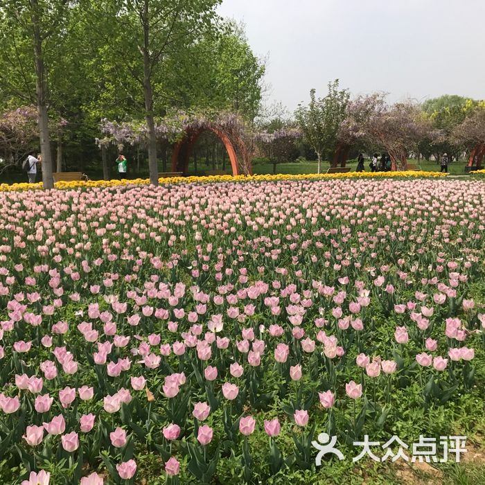 北京國際鮮花港圖片-北京其他景點-大眾點評網