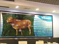 -联胜潮汕牛肉火锅(东苑南路店)