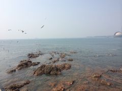iphone_upload_pic-栈桥景区