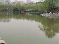 -莲湖公园