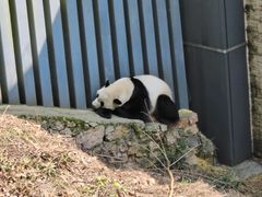 -黔灵山公园