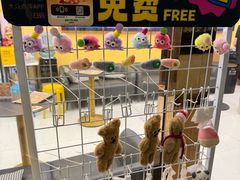 -谜盒子奇幻密室(南屏店)