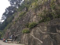 -铁山坪森林公园