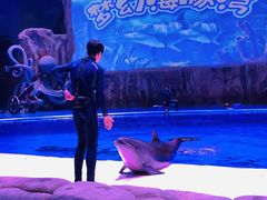 -华夏文旅海洋公园