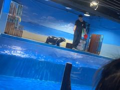-沙沙哗啦海洋馆(华宇百花谷店)