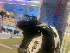 -红星前进面包牛奶公司(君太店)