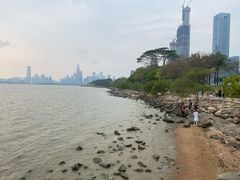 -深圳湾公园(南山区)