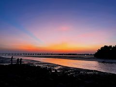 -宝安西湾红树林湿地公园