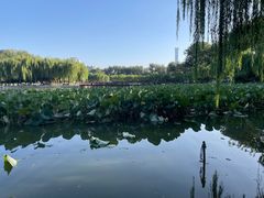 -中国农业博物馆