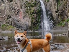 -五泄景区