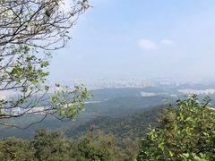 -紫金山山顶公园