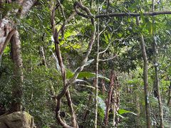 -七仙岭温泉国家森林公园