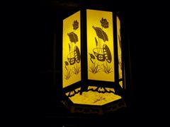 -东山公园
