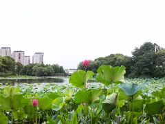 -新江湾城公园