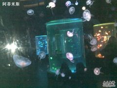 -东部华侨城