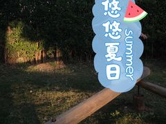 -前小桔亲子创意农场·草莓采摘·露营烧烤