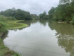 -桤木河湿地公园