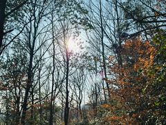 -南京市无想山景区