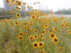-白塘生态植物园