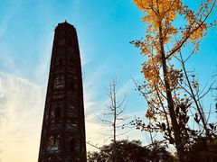 -上海佘山国家森林公园天马山园