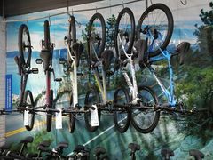 -GIANT捷安特自行车专卖店(金桥台儿庄路店)