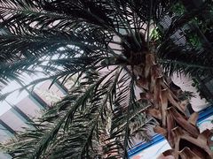 -南宫温泉水世界