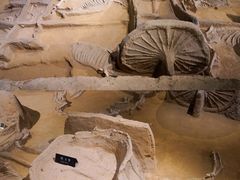 -洛阳周王城天子驾六博物馆