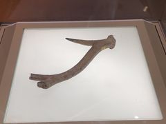 -信阳博物馆
