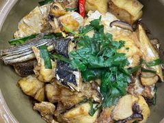 -潮信鱼头王(西环店)