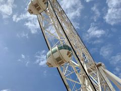 -墨尔本之星 观景摩天轮