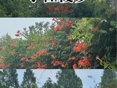 -苏州大学(天赐庄校区)