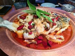 -菌自由丨野生菌火锅特色庭院餐厅(丽江古城店)