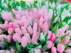 -循礼门鲜花花市(武汉循礼门店)