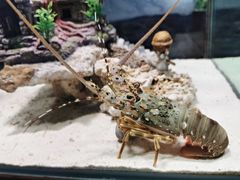 -太平洋海底世界