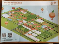 -前小桔亲子创意农场·草莓采摘·露营烧烤