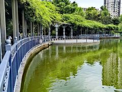-黄兴公园