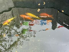 -西安市广仁寺