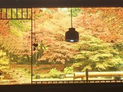 -九田家黑牛烤肉料理(太阳宫广场店)