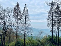 -莫干山风景区