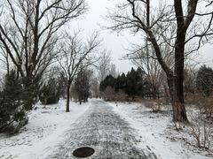 -北京植物园-展览温室