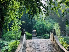 -太湖饭店玉兰厅(自助餐厅)