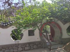 -老张烤羊(王哥庄店)