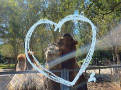 -长白岛森林公园