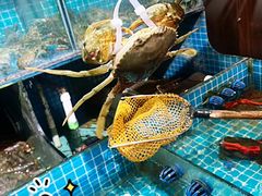 -三妹小龙虾·黄油蟹(华侨城总店)