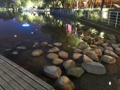 -天鹅湖体育公园