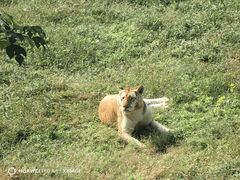 -济南野生动物世界