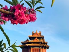 -故宫博物院(故宫)