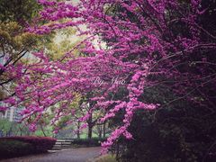 -苏州河梦清园环保主题公园