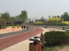 -武清南湖绿博园