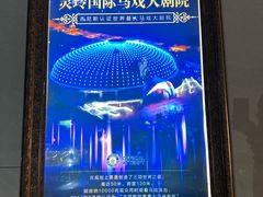 -灵玲国际马戏城